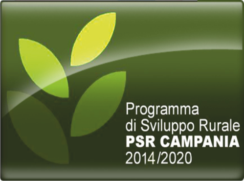 psr 2014 2020